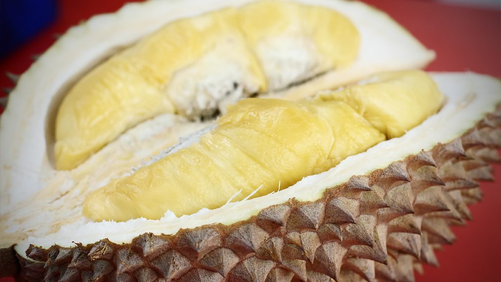 singapore durian